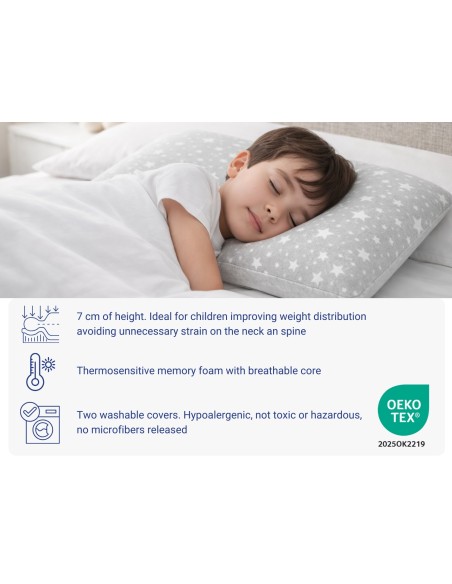 PACK 2 ALMOHADAS VISCO - ALTURA 6CM